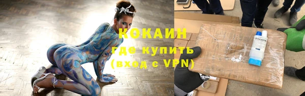 прущие грибы Надым
