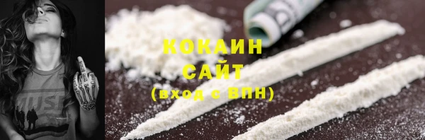 прущие грибы Надым