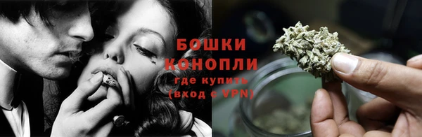 прущие грибы Надым