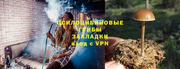 прущие крисы Алапаевск