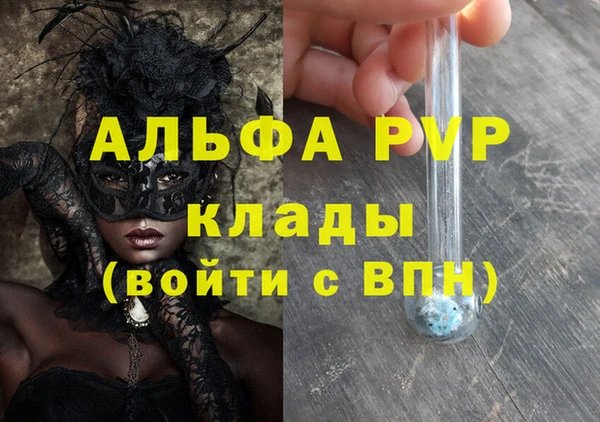 прущие грибы Надым