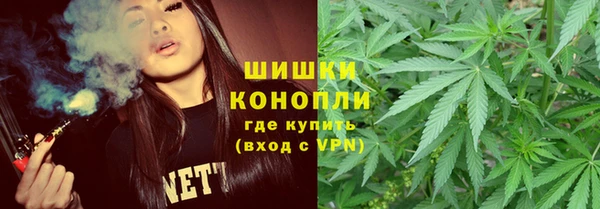 прущие грибы Надым