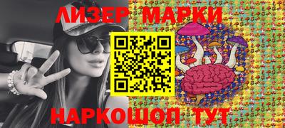 a pvp Донской
