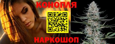 прущие крисы Донецк
