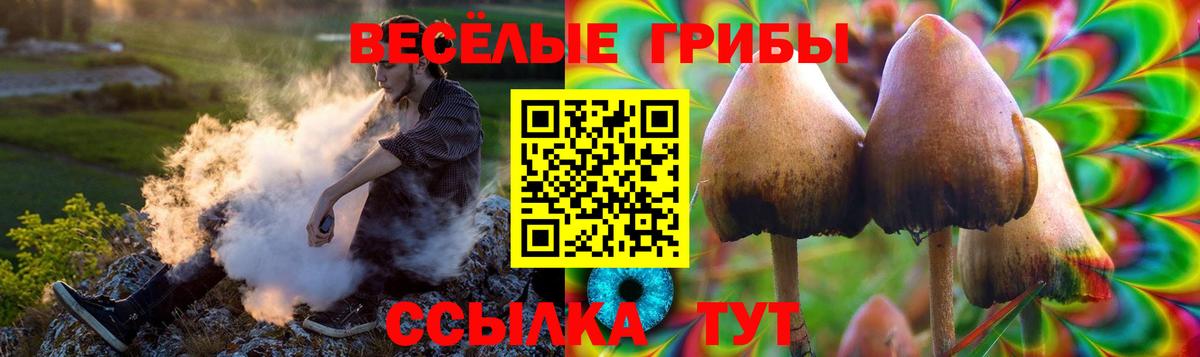 Псилоцибиновые грибы мицелий  Вход с VPN  Нижнеудинск 