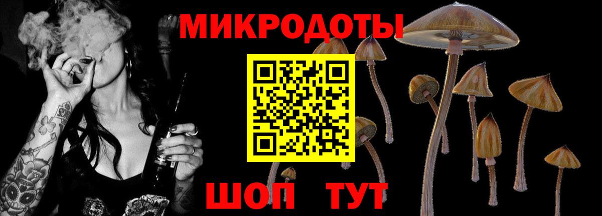 Псилоцибиновые грибы мицелий Нижнеудинск